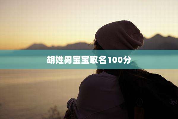 胡姓男宝宝取名100分