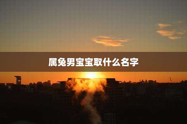 属兔男宝宝取什么名字
