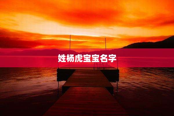 姓杨虎宝宝名字