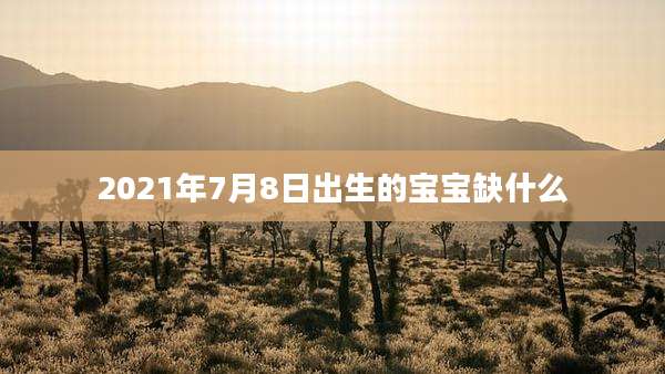 2021年7月8日出生的宝宝缺什么