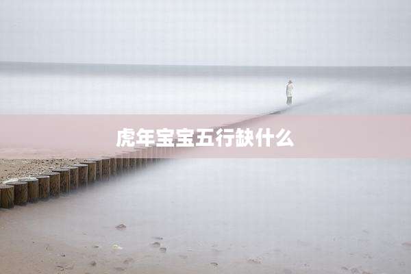 虎年宝宝五行缺什么