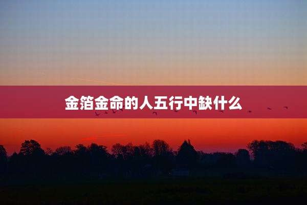 金箔金命的人五行中缺什么