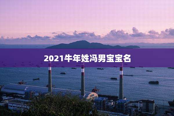 2021牛年姓冯男宝宝名