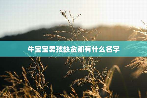 牛宝宝男孩缺金都有什么名字