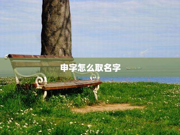 申字怎么取名字