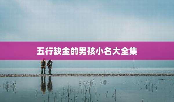 五行缺金的男孩小名大全集