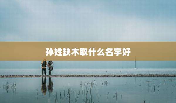 孙姓缺木取什么名字好