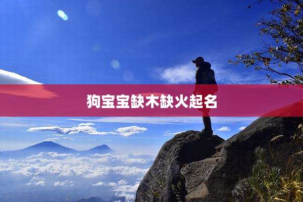 狗宝宝缺木缺火起名