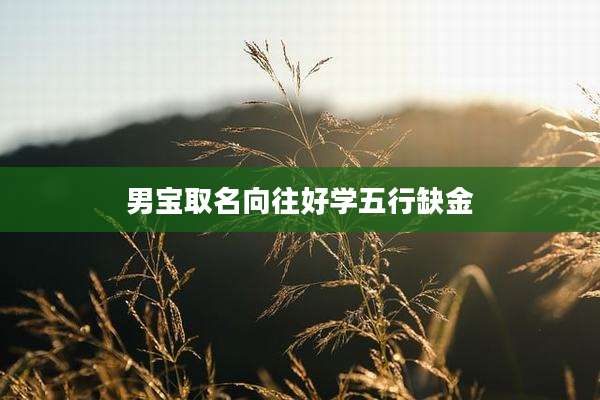 男宝取名向往好学五行缺金