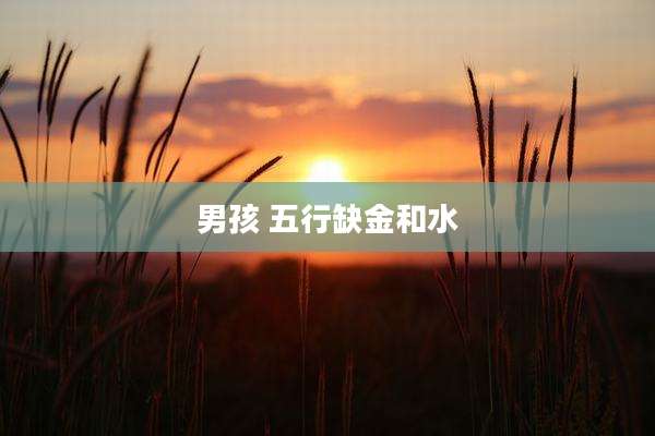 男孩 五行缺金和水