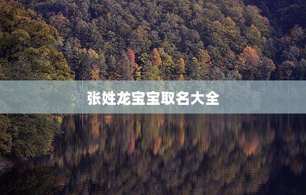 张姓龙宝宝取名大全
