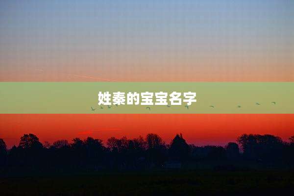 姓秦的宝宝名字