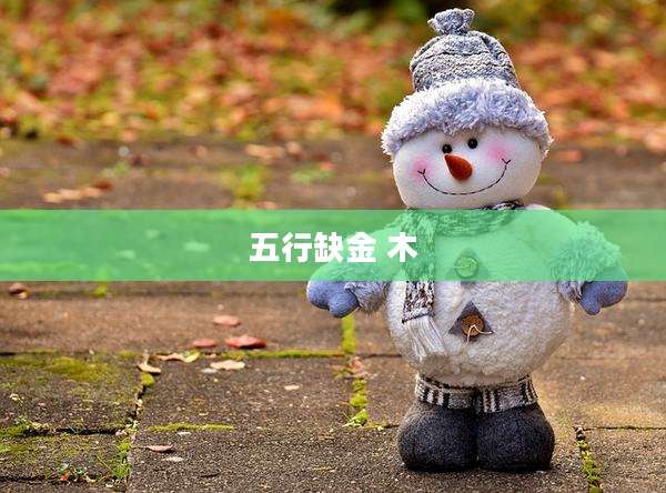 五行缺金 木