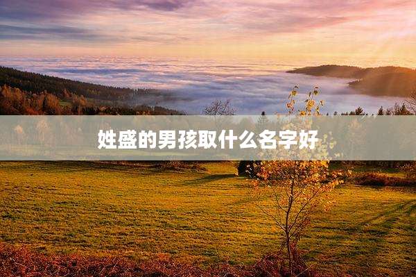 姓盛的男孩取什么名字好