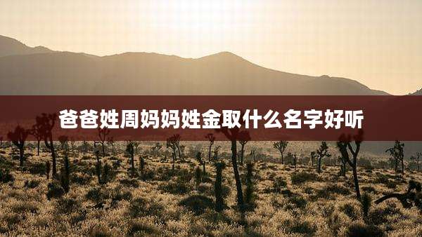 爸爸姓周妈妈姓金取什么名字好听