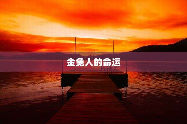 金兔人的命运