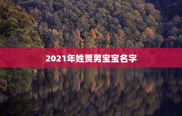 2021年姓贾男宝宝名字