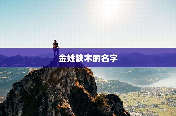 金姓缺木的名字