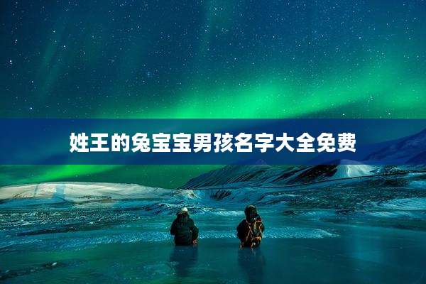 姓王的兔宝宝男孩名字大全免费