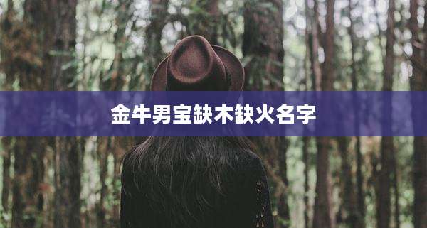 金牛男宝缺木缺火名字