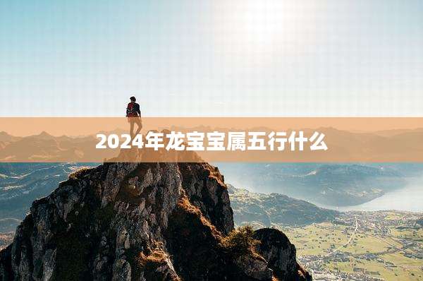 2024年龙宝宝属五行什么
