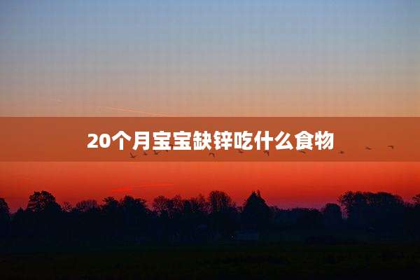 20个月宝宝缺锌吃什么食物