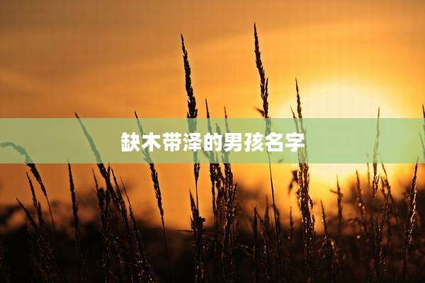 缺木带泽的男孩名字