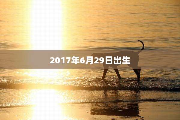 2017年6月29日出生
