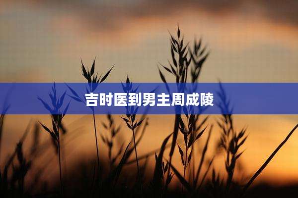 吉时医到男主周成陵
