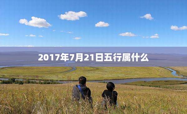 2017年7月21日五行属什么