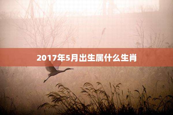 2017年5月出生属什么生肖