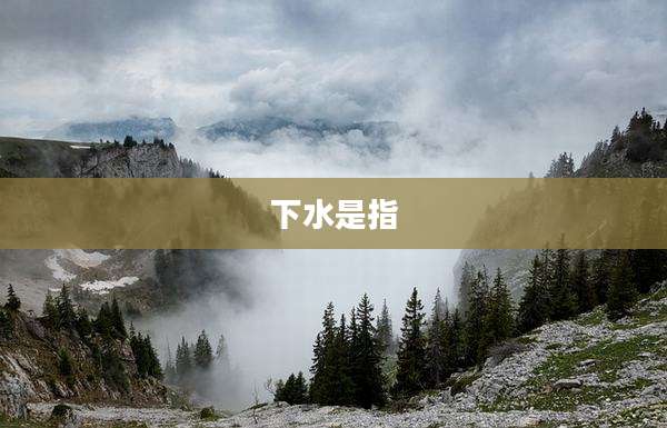 下水是指
