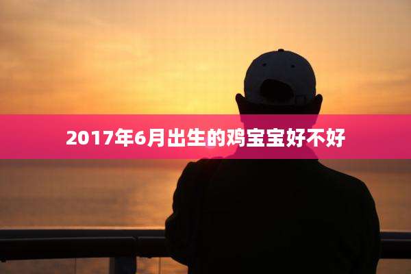 2017年6月出生的鸡宝宝好不好