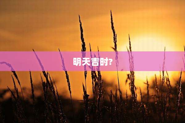 明天吉时?