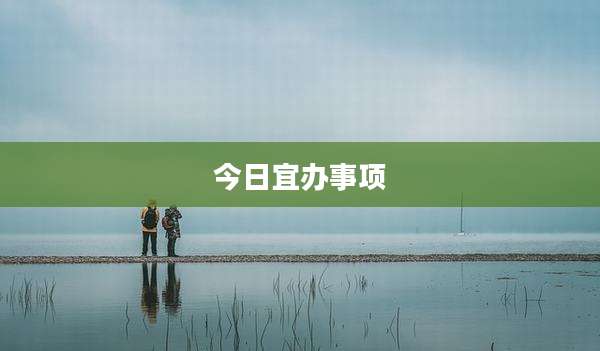 今日宜办事项