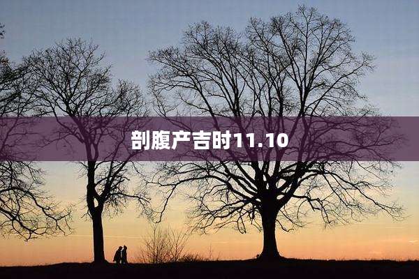 剖腹产吉时11.10