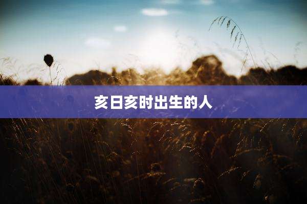 亥日亥时出生的人