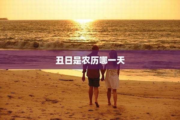 丑日是农历哪一天