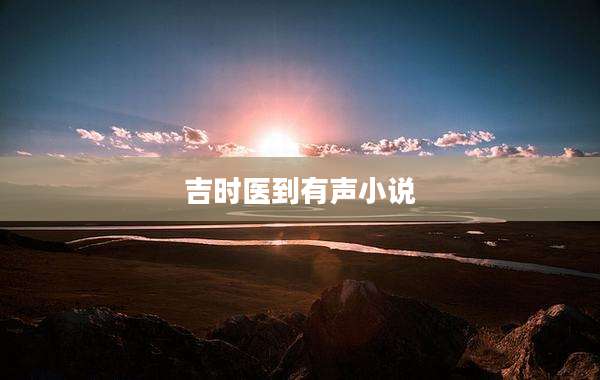 吉时医到有声小说