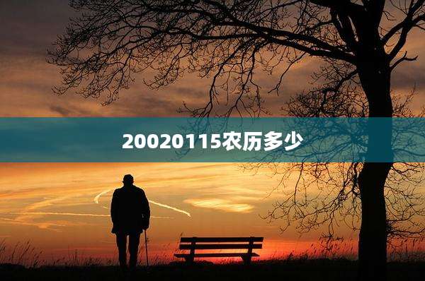 20020115农历多少