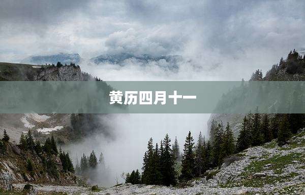 黄历四月十一