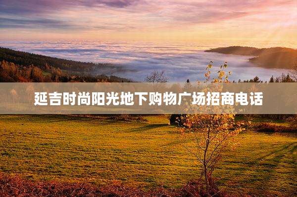 延吉时尚阳光地下购物广场招商电话