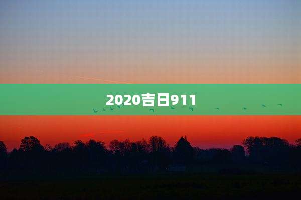 2020吉日911