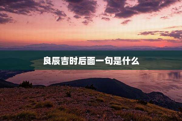 良辰吉时后面一句是什么