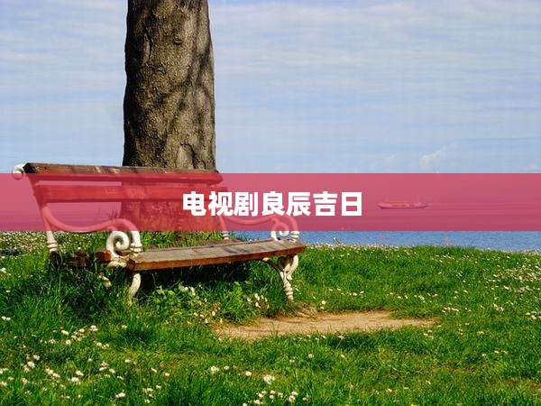 电视剧良辰吉日