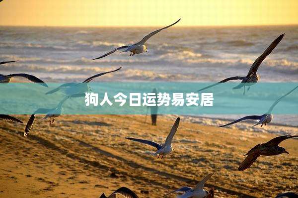 狗人今日运势易安居