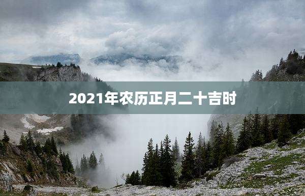 2021年农历正月二十吉时