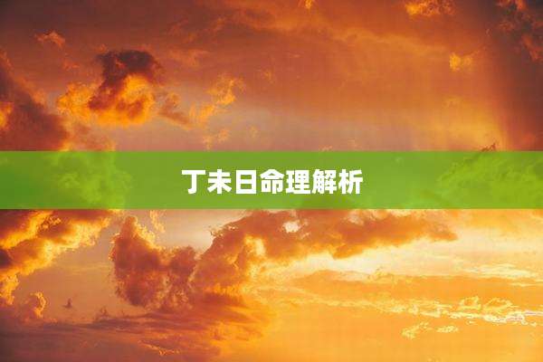 丁未日命理解析