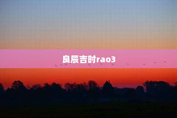 良辰吉时rao3
