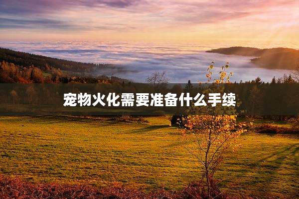 宠物火化需要准备什么手续